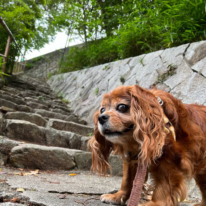 1d9a270c d152 406c aeea 6e6479a5b95a 1748645237327