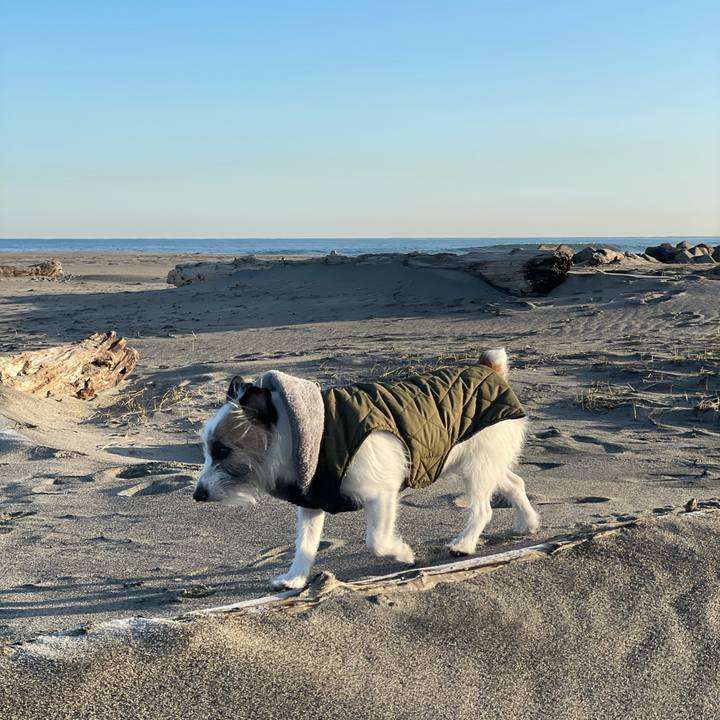 1d9a2d3c 2d27 49dc a340 4748cfbd42d8 1614813697208