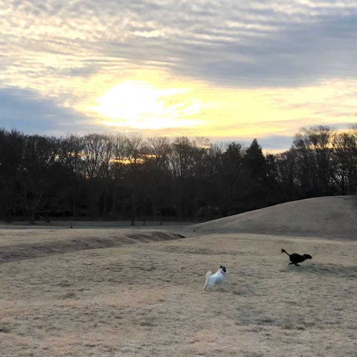 1d9a4a38 8ebb 440a a7df 8c6e43b18704 1578955292205