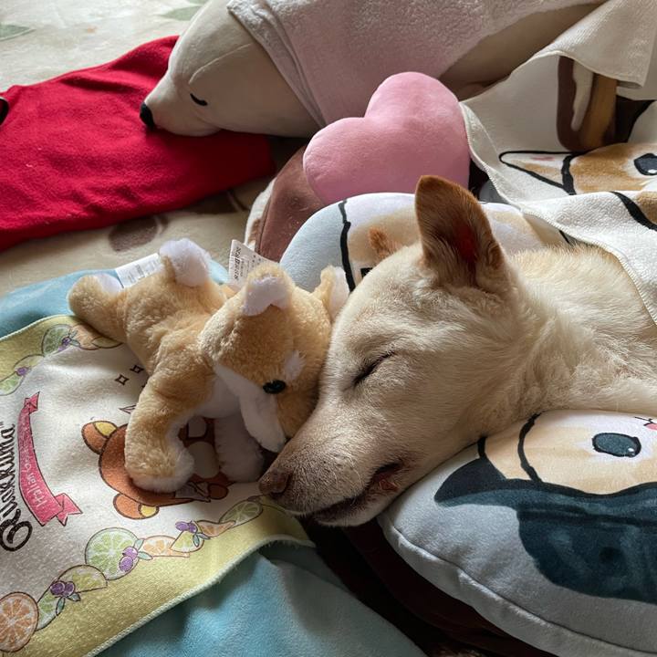 1d9a569a 1804 4c1f bb60 fcde0b3eefed 1680839986149