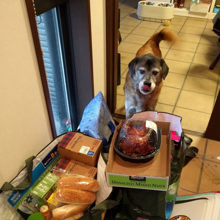 1d9a58c4 be3f 42bf 8a3e 1e55e1209fb9 1544167670406