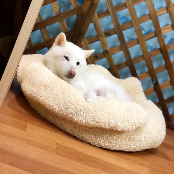 1d9a5af3 244e 4225 81a7 773d5a2b6b99 1552563678195