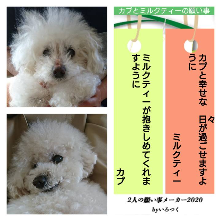 1d9a8cb3 d4ab 4050 83ca 60d0606ef15c 1594223444433