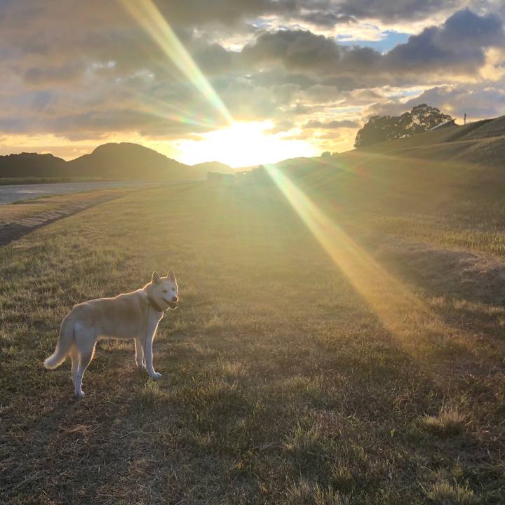 1d9ab8b5 c3cf 4e30 b67b 8b3caba3d332 1753783379679