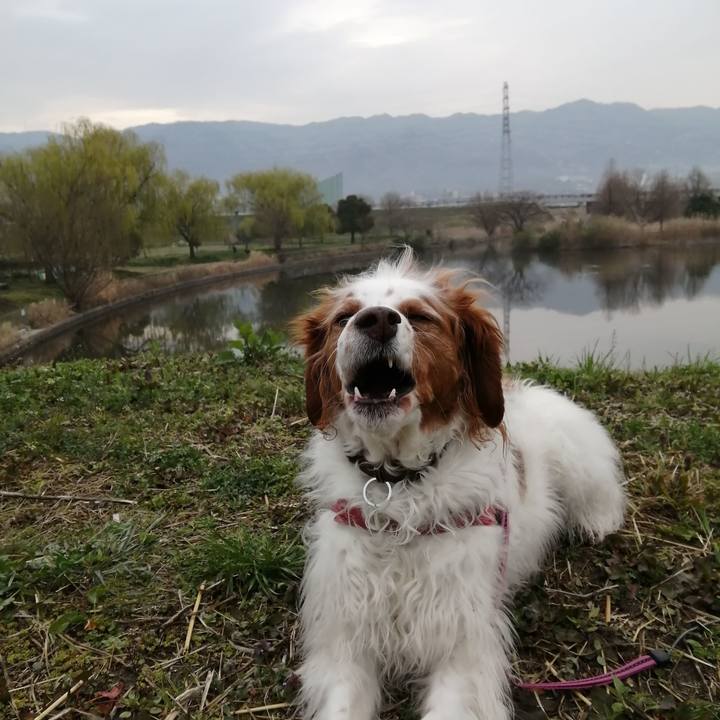 1d9aed4f 1026 4340 a93d 718f6af22ba4 1615852728607