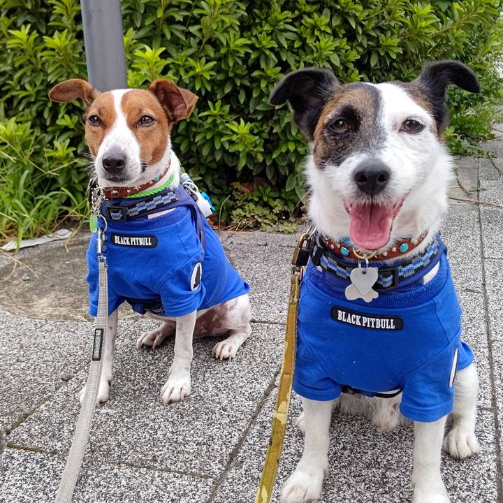 1d9b06e6 68a3 4cb4 a2f9 1e04185c99d1 1629668015290