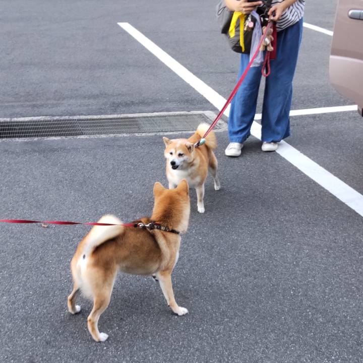 1d9b0b4e 553e 4db8 b118 a6e81e21575b 1663329257018