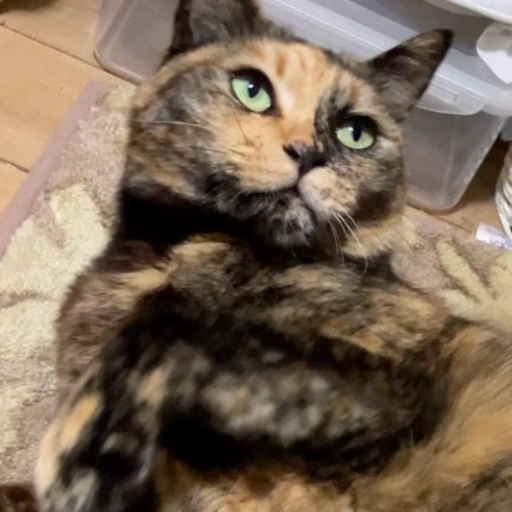 1d9b4250 a594 4b64 aefd 8b1b0251cdfc 1742212383311