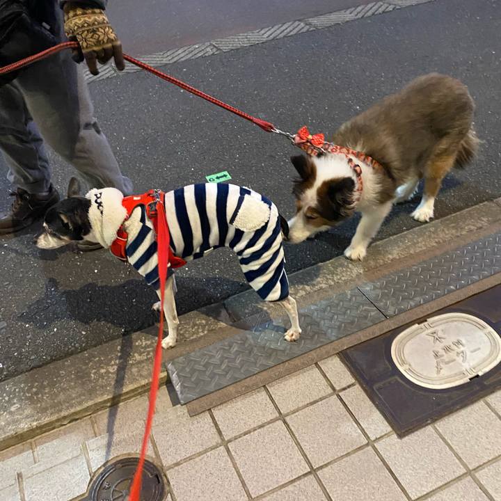 1d9b48a1 89c2 4865 8840 1c25b814d81c 1611872202258