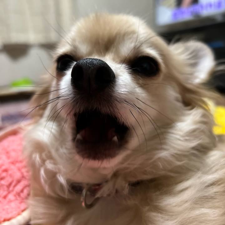 1d9bc09d 797f 4953 8119 dcc1061de311 1688735992179