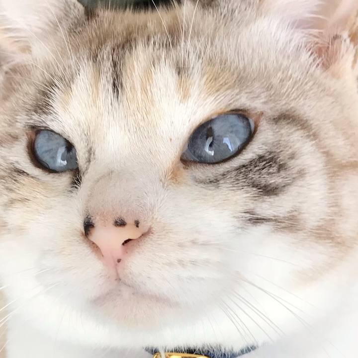 1d9bd81a 93c6 408b 8db9 3976222b24cc 1546689802683