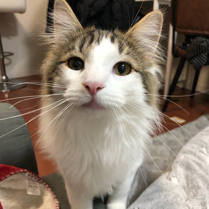 1d9bfc81 5306 4a8c 82a0 6f1439144e26 1520479285651