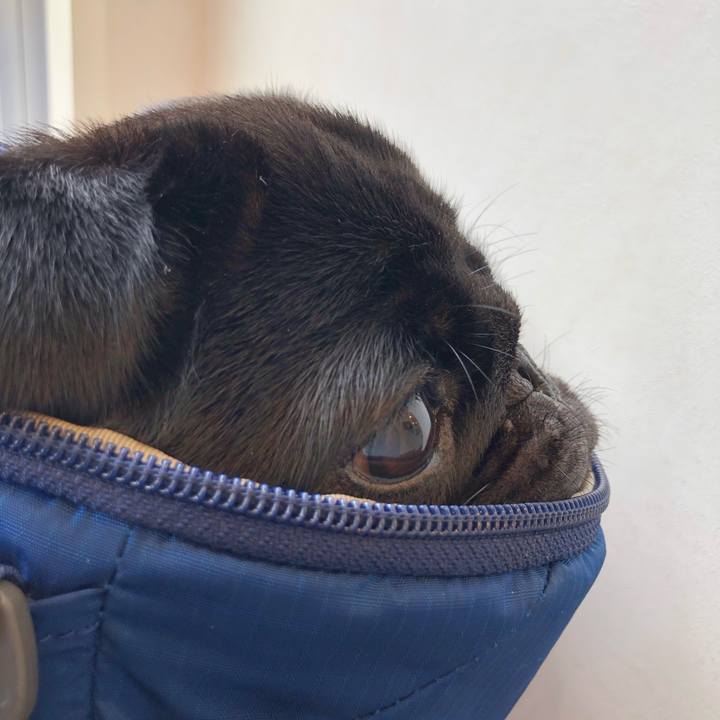 1d9c2486 1127 405f 9899 c2158f318362 1621558127680