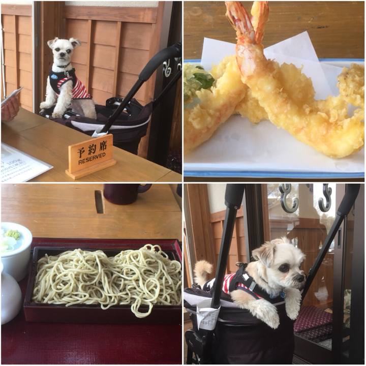 1d9c508f a3c5 4f1f b9c2 2f93203eafee 1561626901034