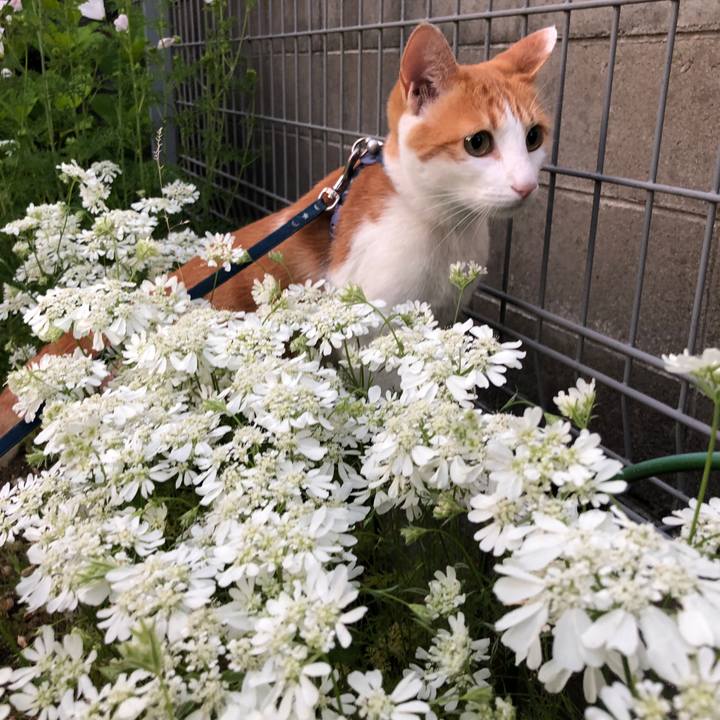 1d9c50d8 4ae6 48ea bcfb 5c5184d7d746 1560849955420