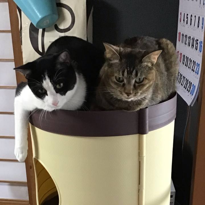 1d9c5699 202b 4155 9b33 feb73038666d 1657532913038