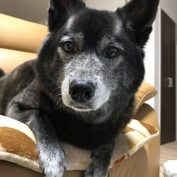 1d9c67b4 9618 4d47 9f9b 8a01d0e8f2ac 1596286450743