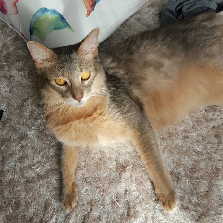 1d9c67d8 ffd3 42e6 9ce5 edabf483e7d8 1543719818628