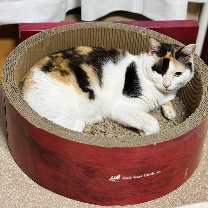 1d9c7a2f 9611 4225 80d1 52930cd9921c 1726706896019