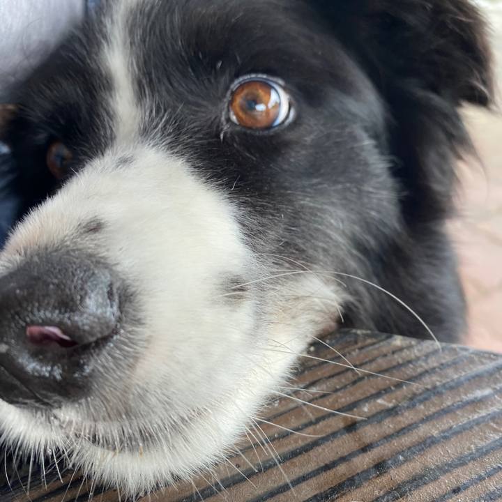 1d9c88d1 4da2 4141 90dd 9ff35dca1ce0 1589773858345