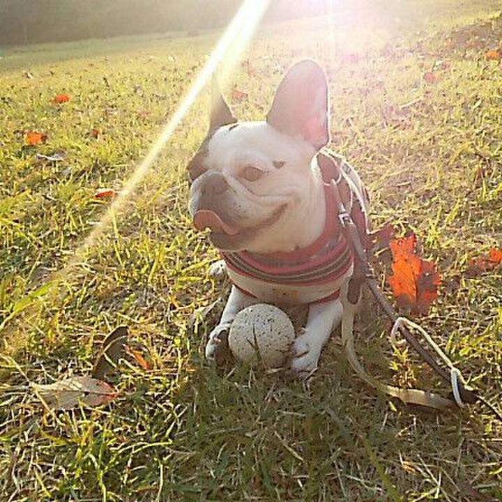 1d9cba1c 7dc7 41df 9d40 d034a08b49db 1534080027363