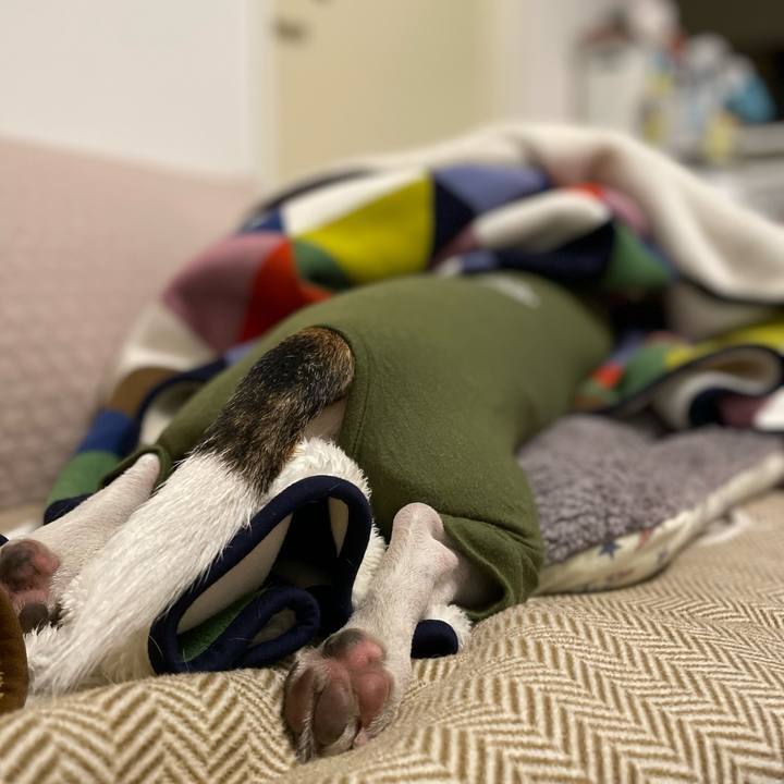 1d9cc1f4 c6bb 4d24 a80b 239d189f2658 1702093916824