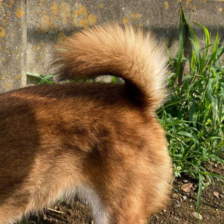 1d9cf72a 7ecf 4dfd 8981 d1bd3bbdce9d 1747698656109