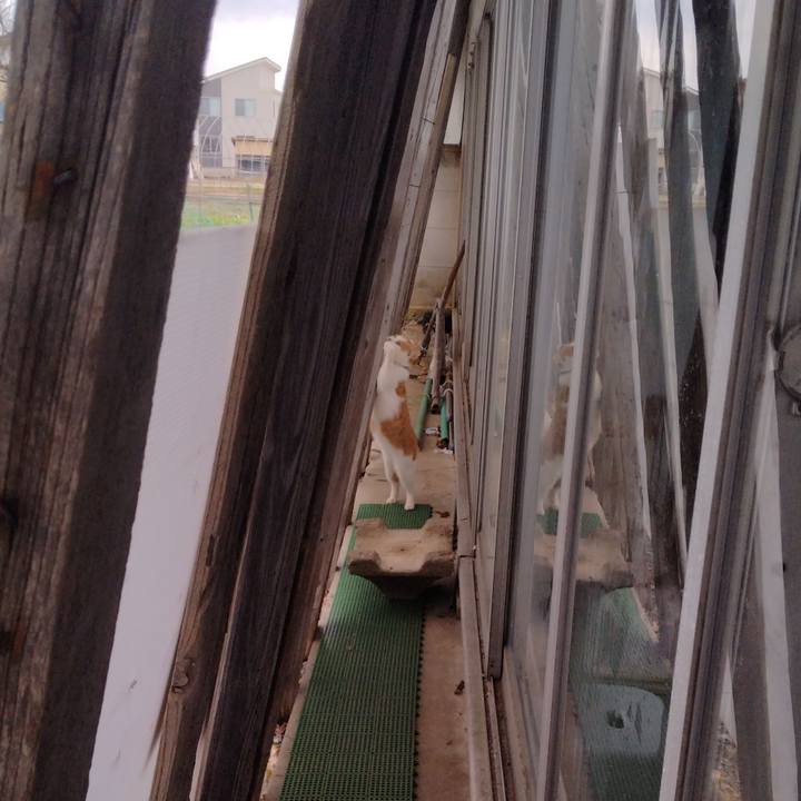 1d9cfb2f e0d9 49a2 be34 db2b405a0c0e 1766561338344