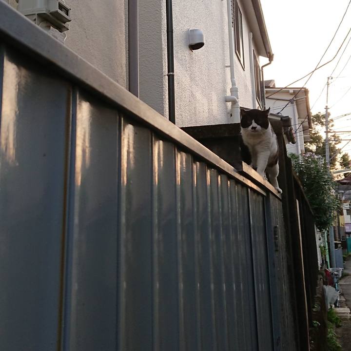 1d9d0af7 94b2 462c 909d 85fc38ea95b1 1664268006505