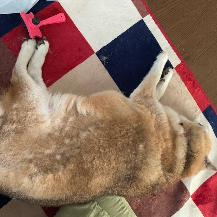 1d9d1068 4f91 46cd 990a 1647994ffca9 1656124567379