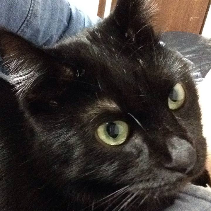 1d9d3f6c 61fd 417e aa91 182a7aa76086 1542195454395