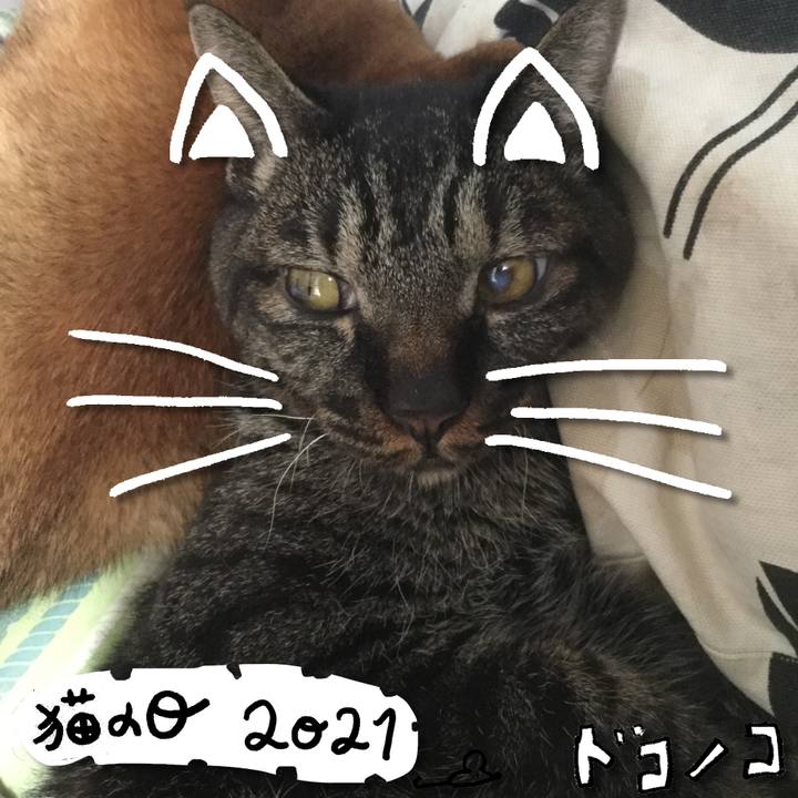 1d9d49c2 abfb 4f1b b9f4 99a272270d50 1613972213394