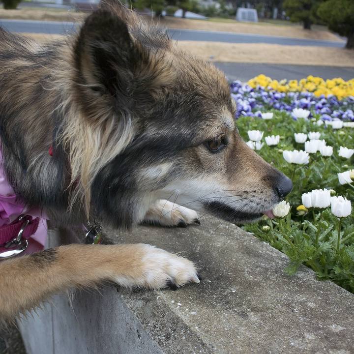 1d9d57c2 fd69 410c a05c 965ff4e503ed 1549927696231