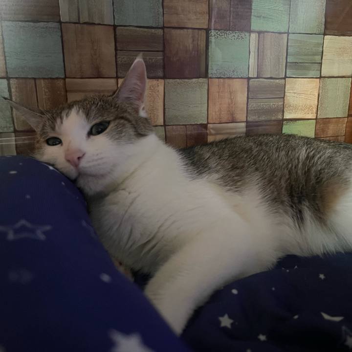 1d9e01d0 7f37 449e a201 7aac151388db 1623666493220