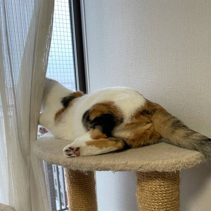 1d9e366f d370 4676 a287 1d4d235e4edb 1609112231239