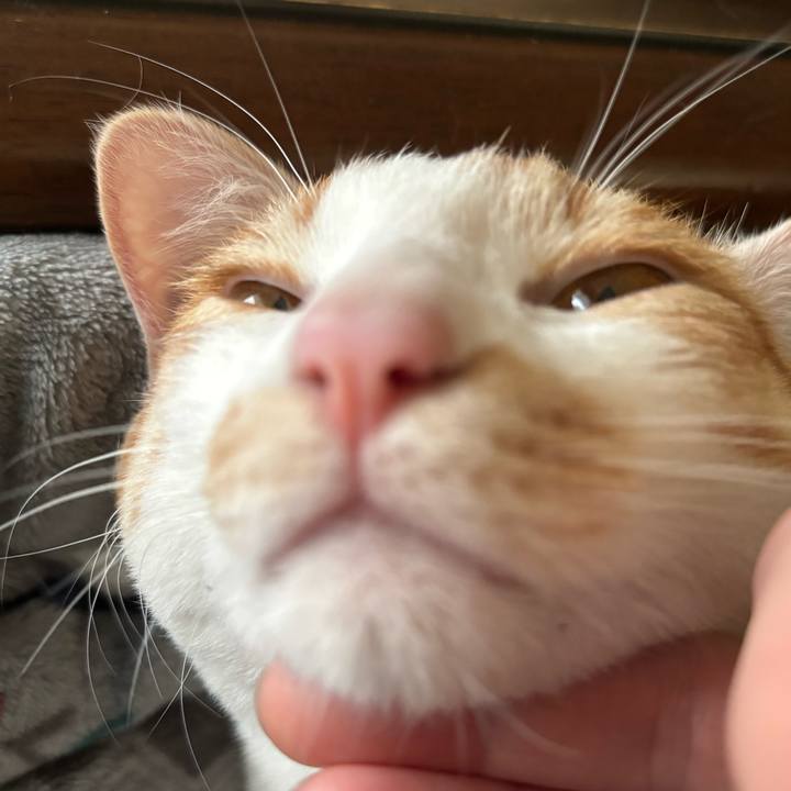 1d9e3af2 567e 4891 b8bc e2741c1ec01c 1713600062126