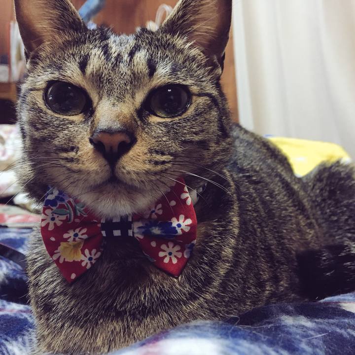 1d9e5fc9 2e3b 4775 832f cdcdbe2a3f04 1521430314772