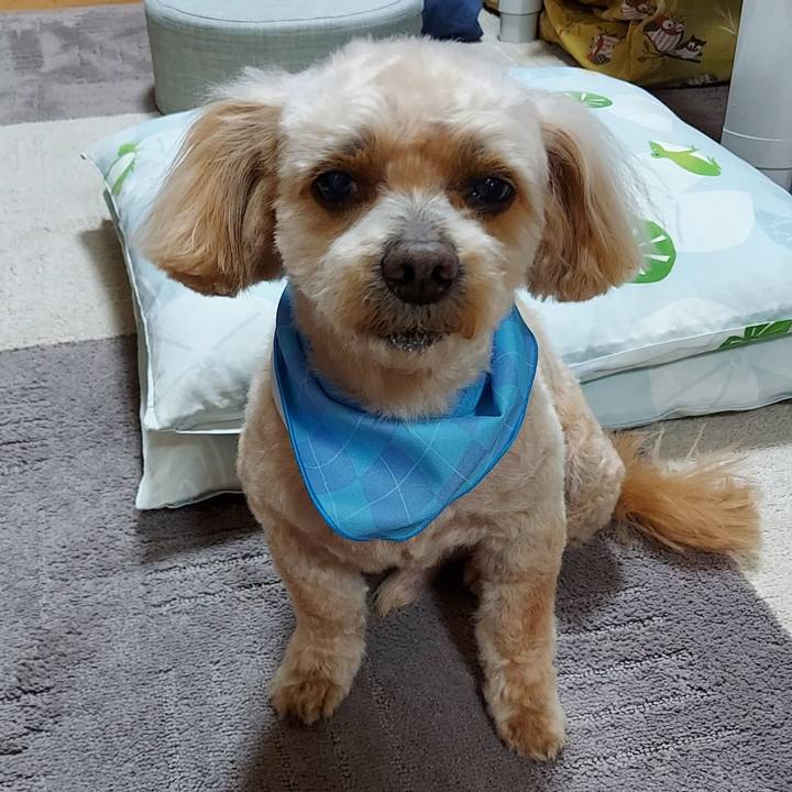 1d9e79be d762 47b8 91aa 19d3e6723731 1680344012957