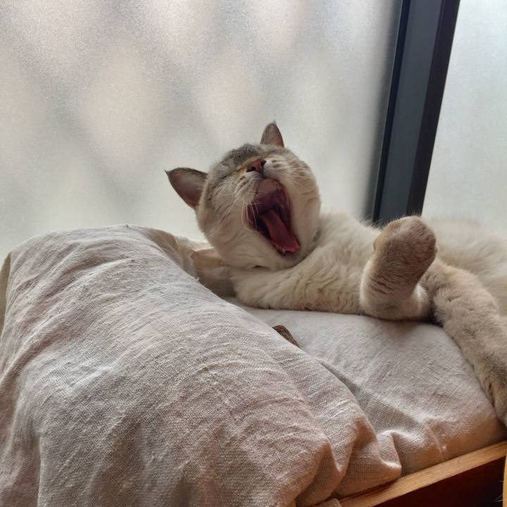 1d9e7ec0 e5cf 460c b069 62371e9ad247 1561793024590