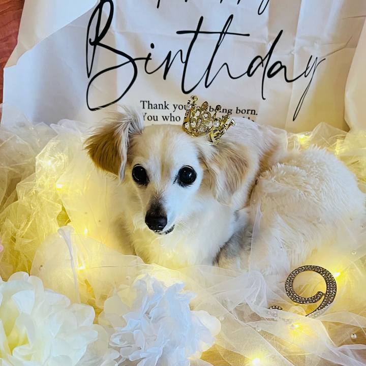 1d9e83f1 177f 49d1 81a2 4d1d88f973dd 1749277807650