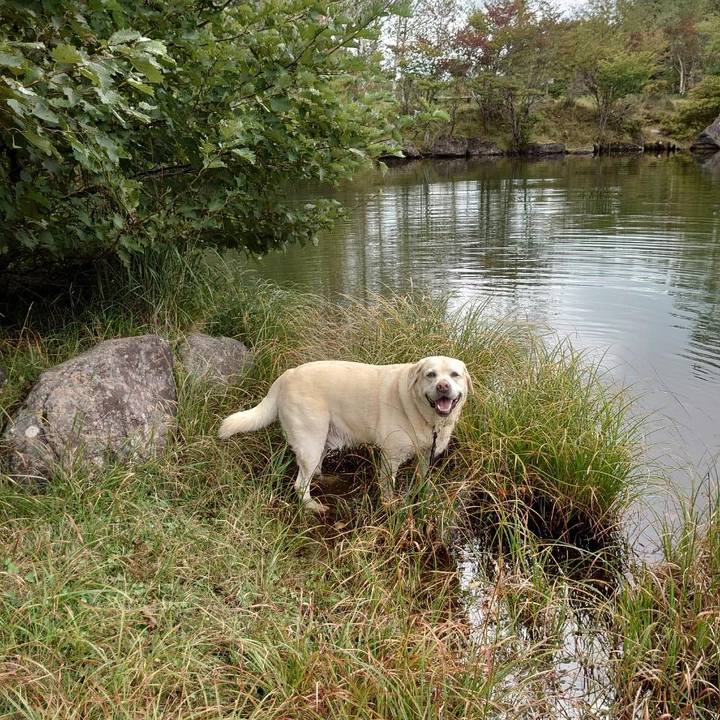 1d9ec9f3 5265 49f4 85dc 92b8c9715058 1758612173226