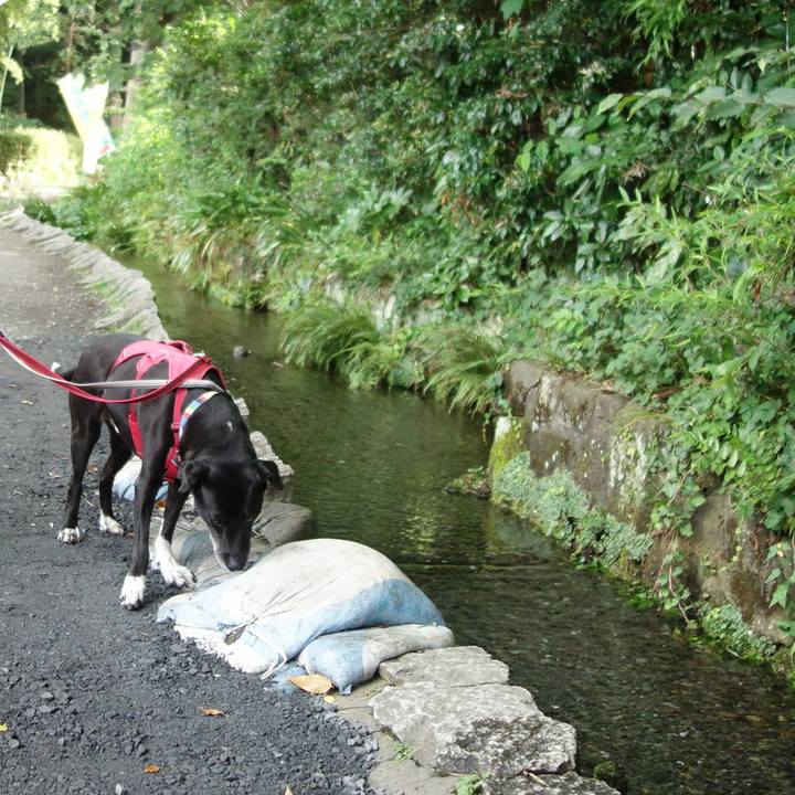 1d9f0258 0658 4ab6 8045 586704d8bf3e 1688516235280