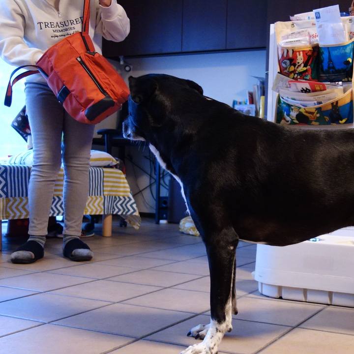 1d9f1ab9 ce83 4677 a91f 2ee17bd8737e 1732749057506