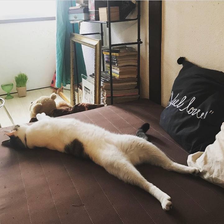 1d9f56da a60e 4b08 a02a 075669826ec6 1561096377199