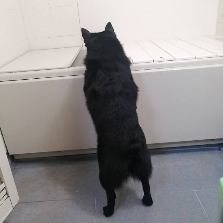 1d9f5708 db5b 4ab8 8338 7ed99ea28971 1625225897341