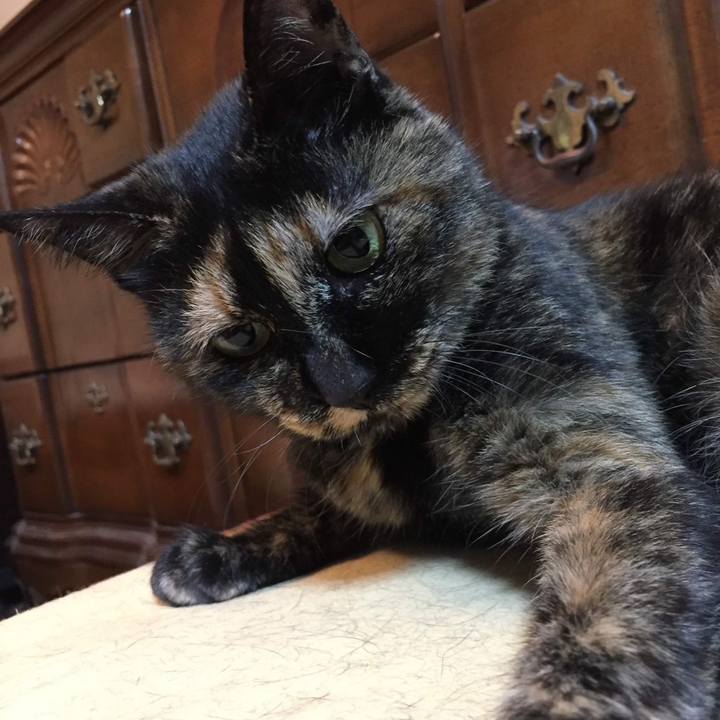 1d9f647f 2503 4f86 b9b1 49f72a664b1f 1680412356154