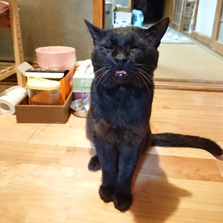 1d9fa567 4161 415b 8cc8 09259122ca32 1626954771531