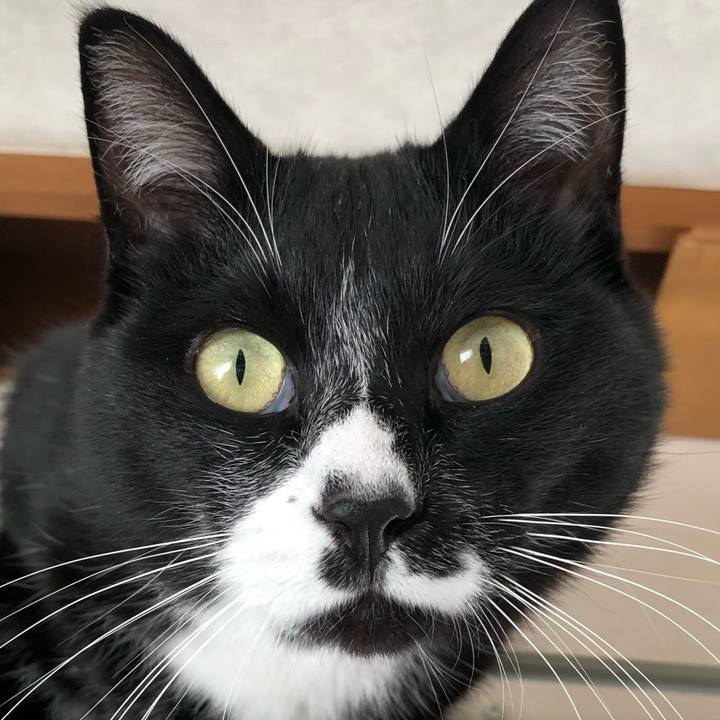 1d9fefc8 6627 4692 9696 f671971be5a6 1640507671602