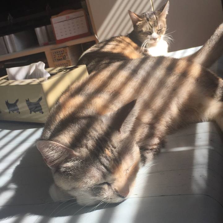 1da01cf7 c76a 490b b6eb 8fdf3f628241 1572057361451