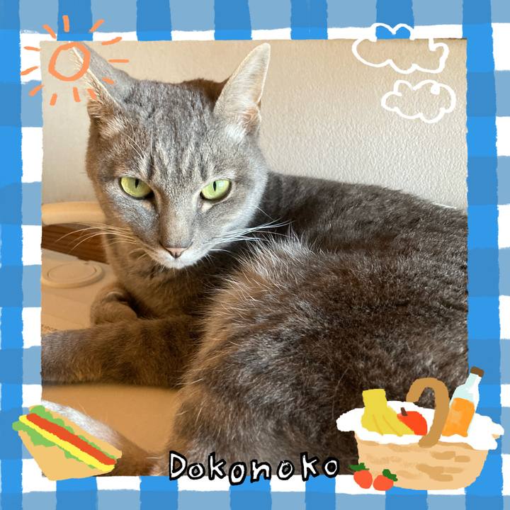 1da02337 3cab 45cf 96f6 fbbe5e71b60e 1744350686974